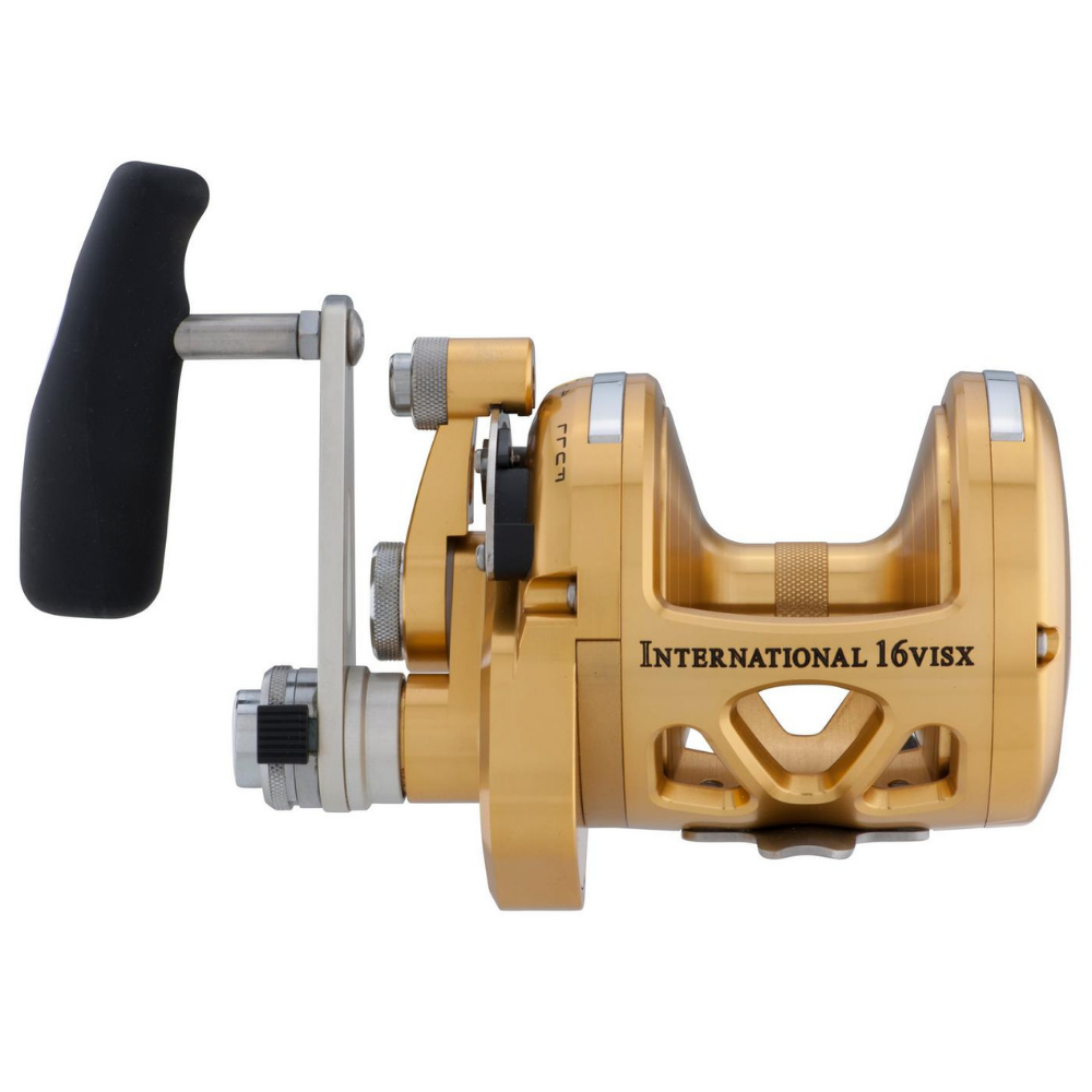 PENN Saltwater Conventional 2 Speed Reel International VI 16VISX Gold - Image 3