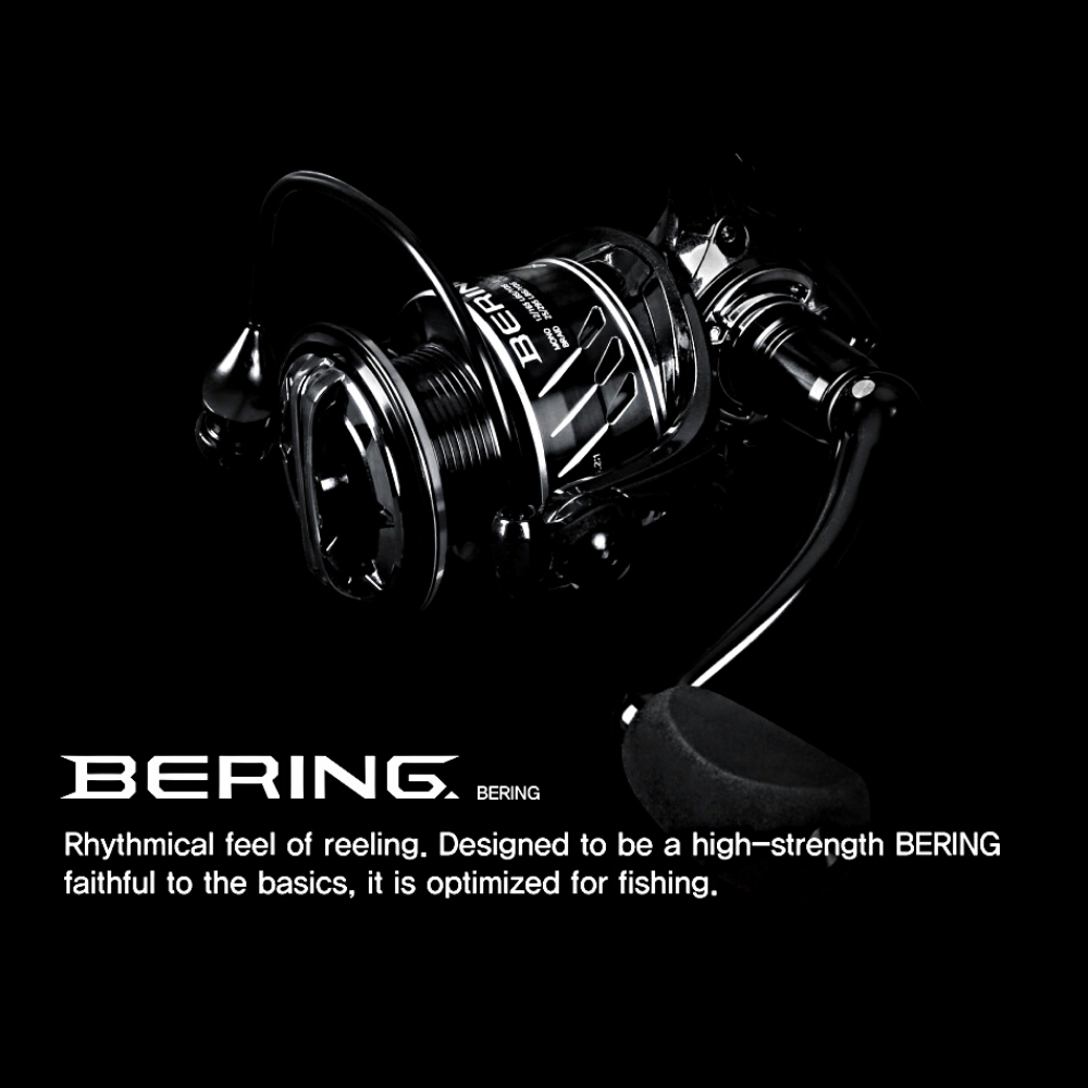 NS BLACK HOLE Finesse Fishing Spinning Reel BERING - Image 3