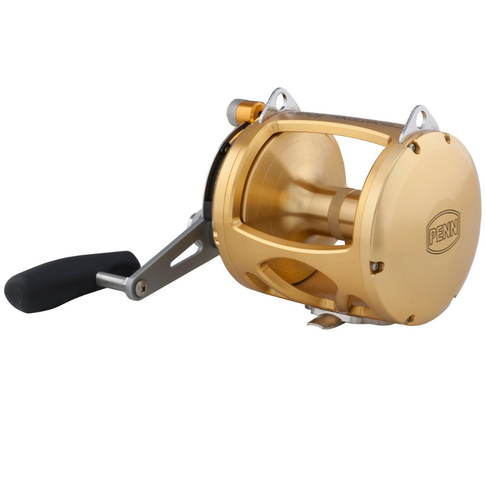 PENN Saltwater Conventional 2 Speed Reel International VI 80VISW Gold - Image 2