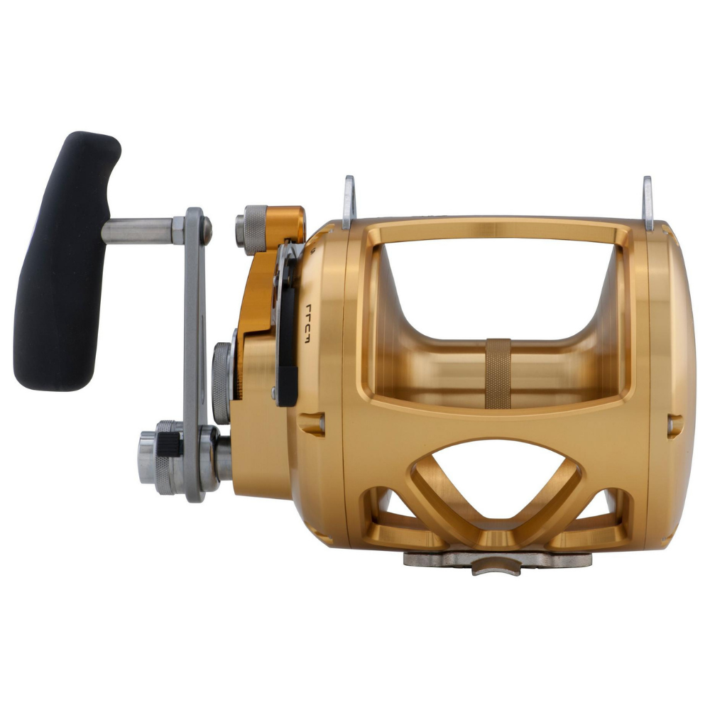 PENN Saltwater Conventional 2 Speed Reel International VI 80VISW Gold - Image 3