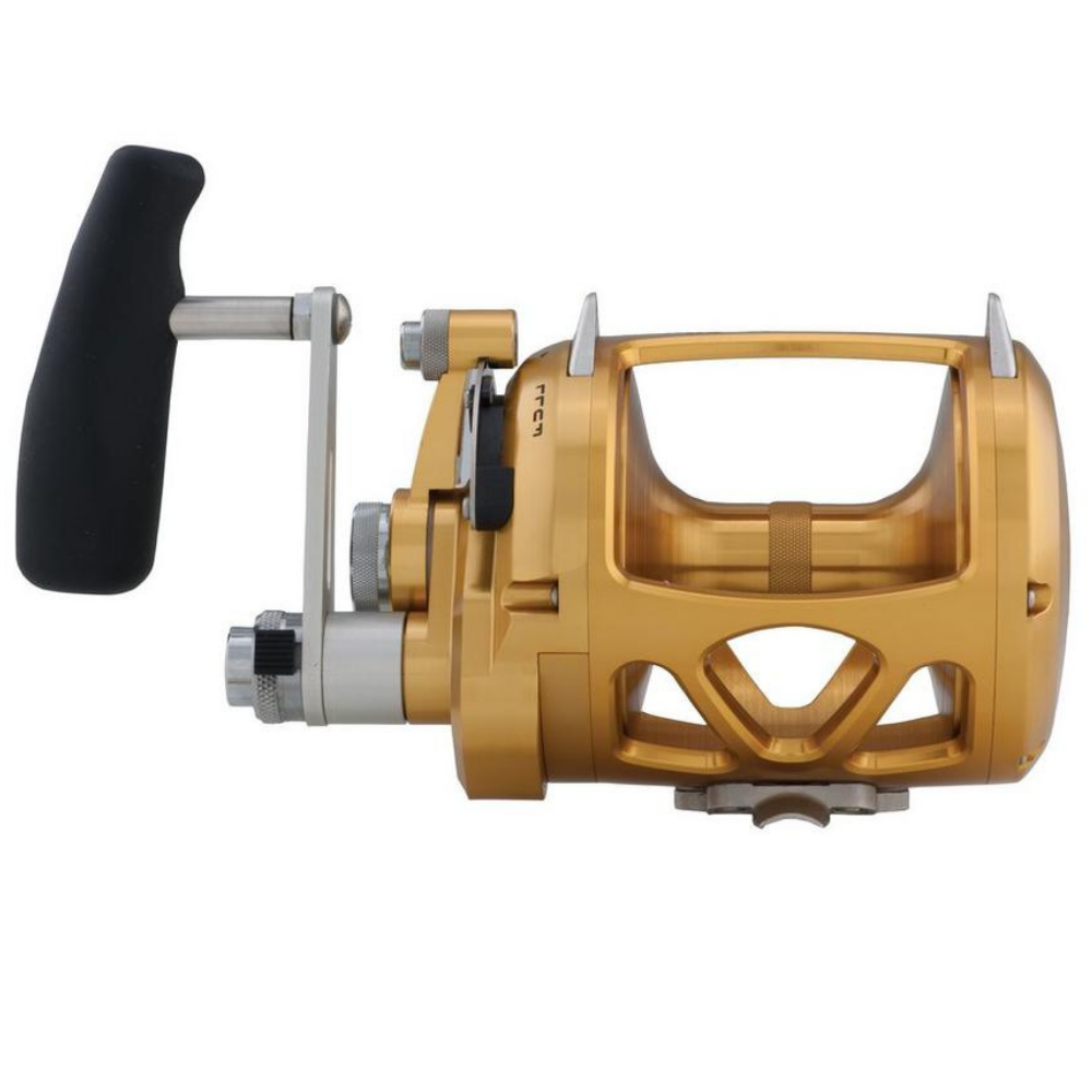 PENN Saltwater Conventional 2 Speed Reel International VI 30VISW Gold - Image 3