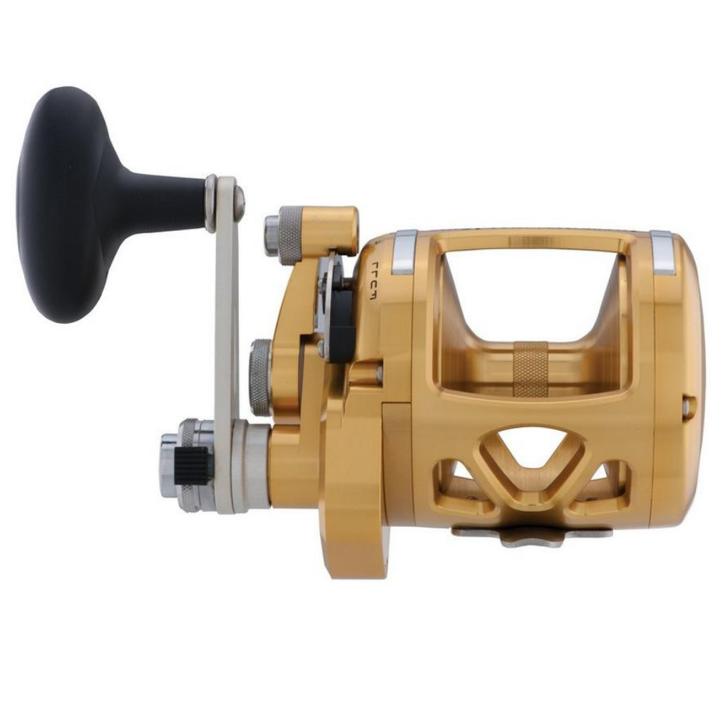 PENN Saltwater Conventional 2 Speed Reel International VI 16VIS Gold - Image 3