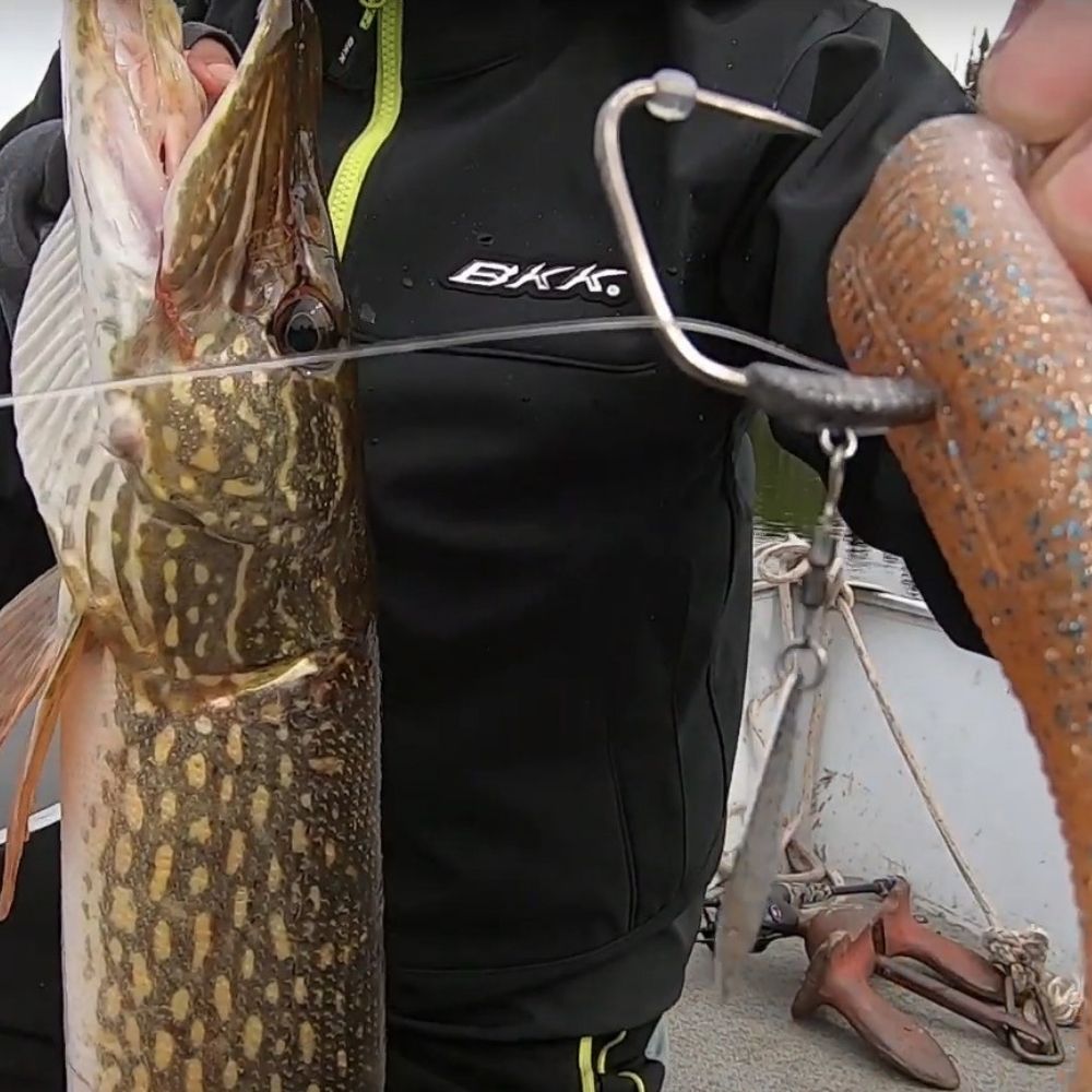 BKK Weedless Weighted Hook With Spin Blade TITAN DIVER - Image 6