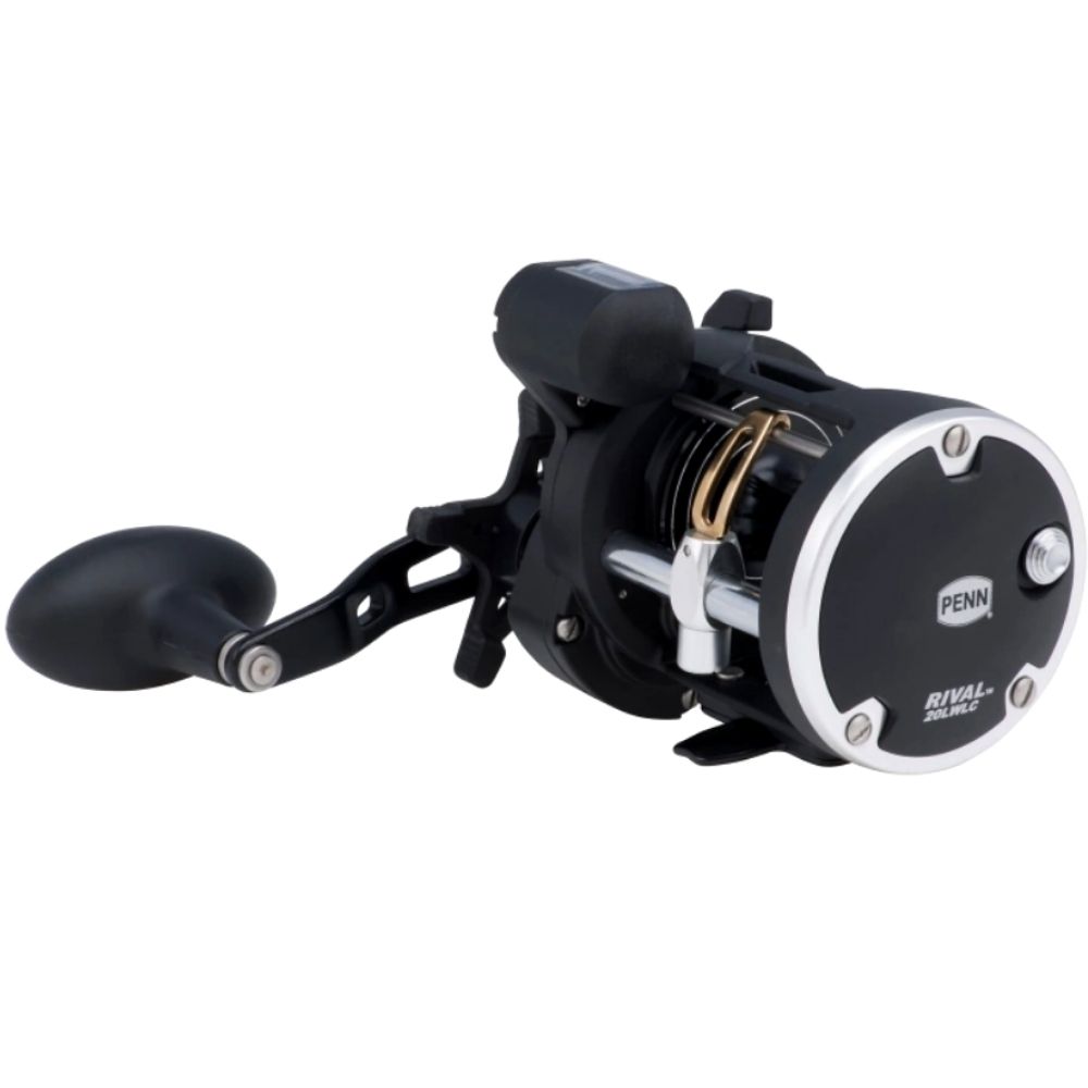 PENN Fishing Level Wind Conventional Line Counter ReeL RIVAL 20LWLC - Image 2