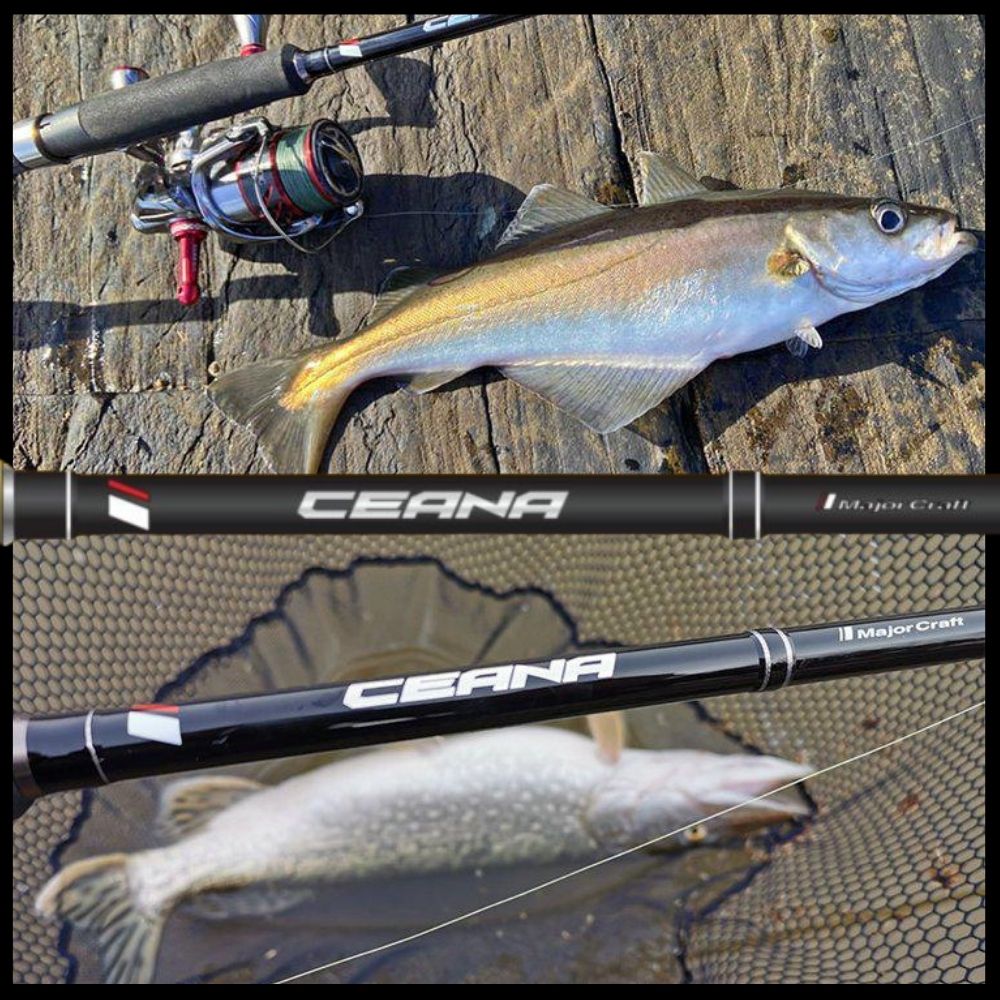 MAJOR CRAFT Spinning Rod Model CEANA CNSS-792M/HR - Image 5