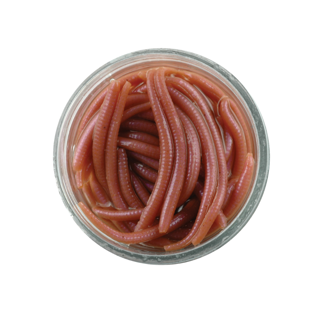 BERKLEY Gulp Alive Scented Soft Bait Lure ANGLEWORM Natural 3cm - Image 3