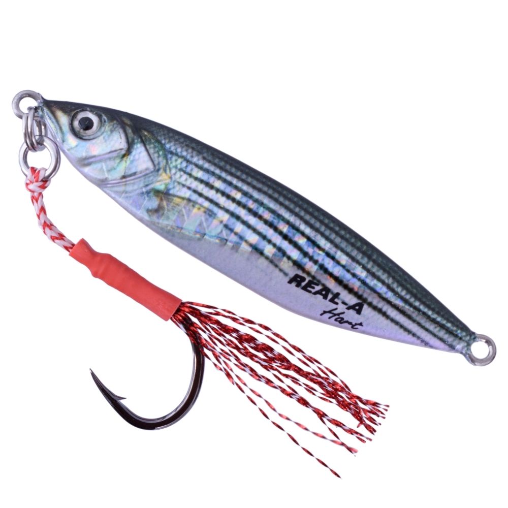 HART Saltwater Live Bait Looking Jigging Lure REAL-A 30g - Image 6