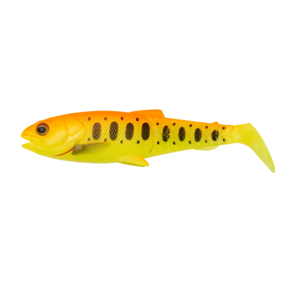 SAVAGE GEAR CRAFT CANNIBAL Paddletail 10.5CM 12G 4PCS Dark Water Mix - Image 5
