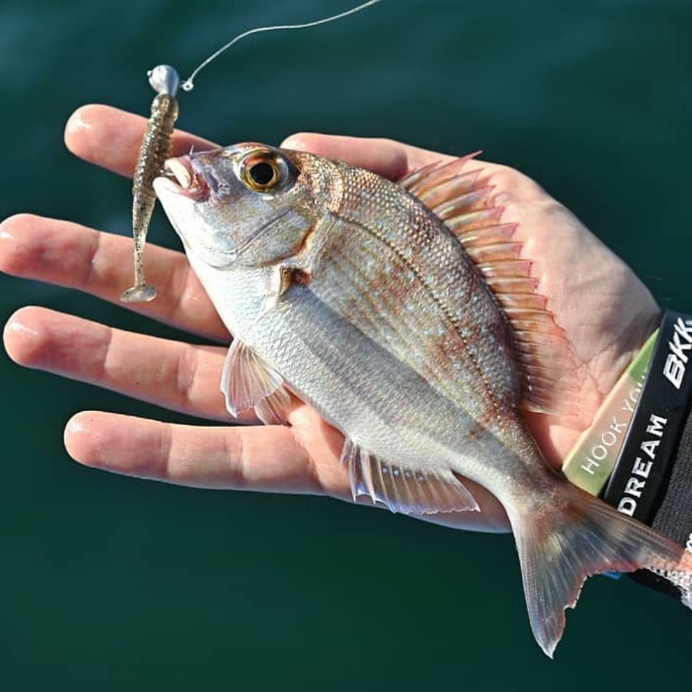 BKK Ultra Light Fishing Micro Jighead SILENT CHASER Punch Head LRF - Image 5