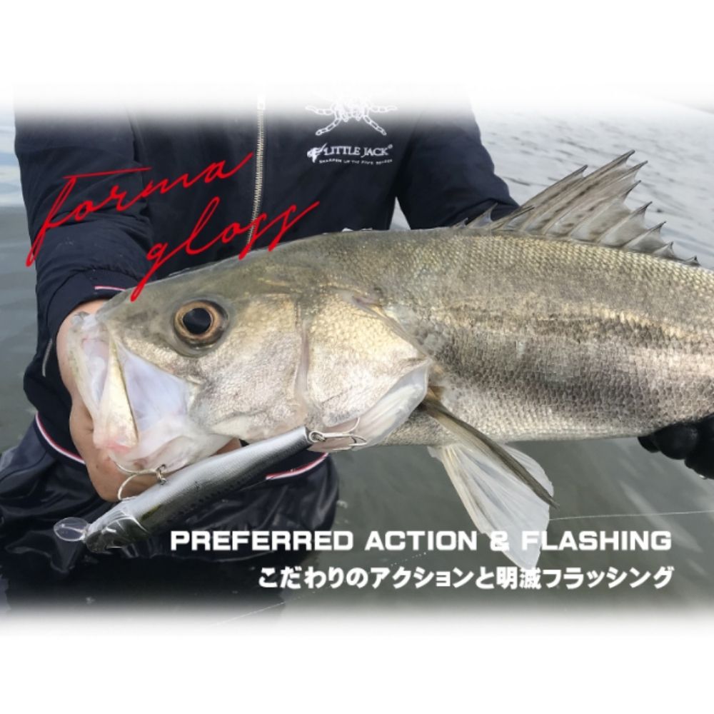 LITTLE JACK Saltwater Floating Jerkbait Minnow Lure FORMA GLOSS 23 125mm/23g - Image 6