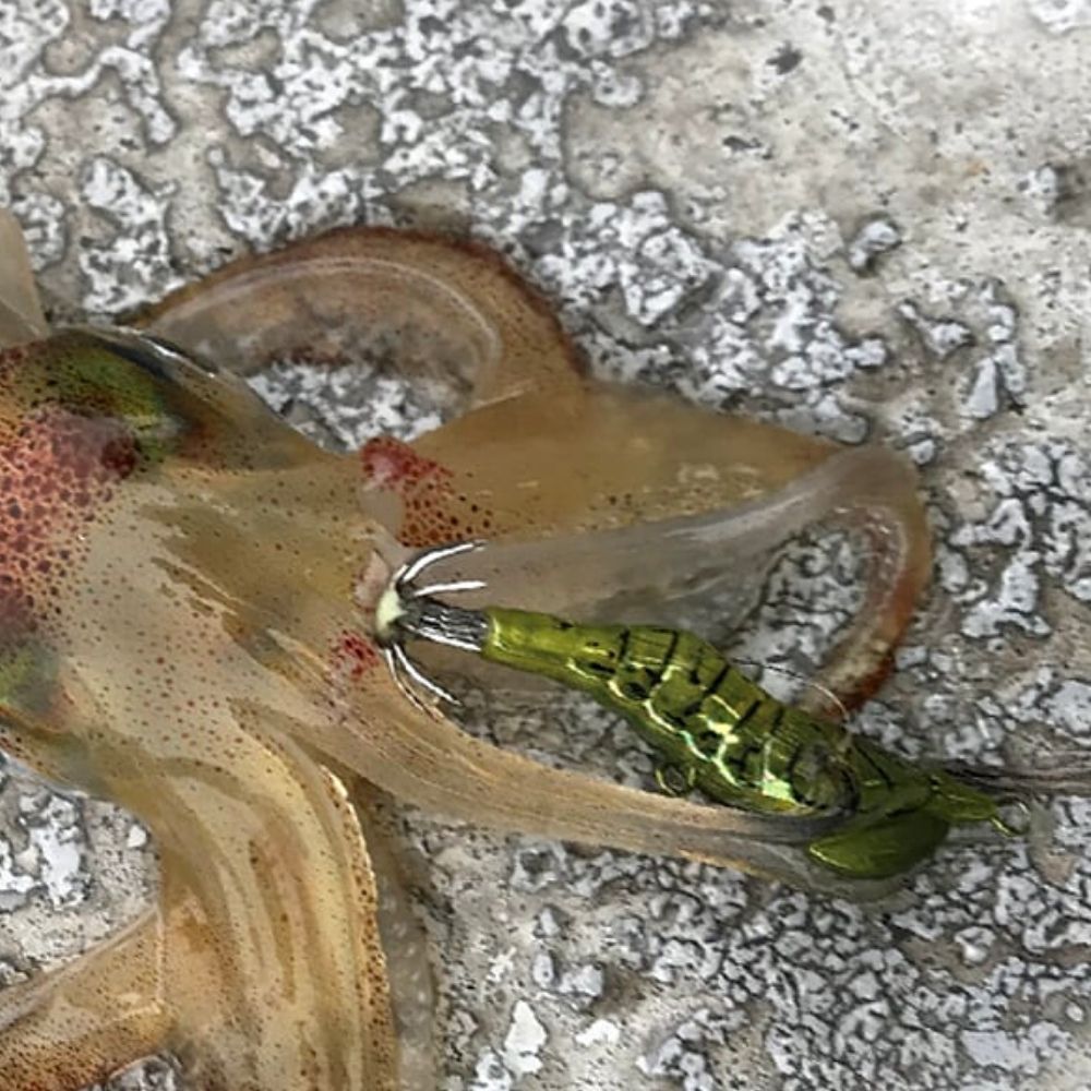 LITTLE JACK Squid Fishing Ultra Light Jig Lure HANEBIX 35 - Image 2
