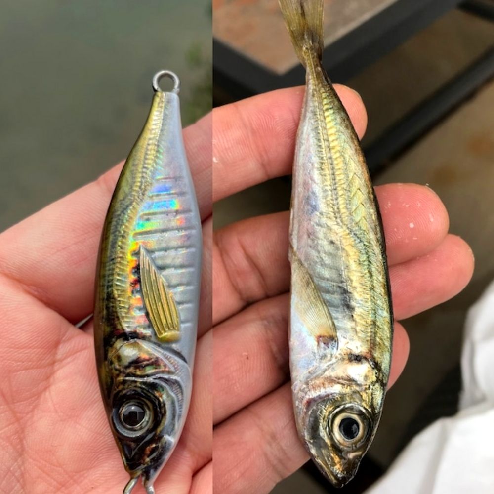 LITTLE JACK Saltwater Shore And Light Jigging Lure METAL ADICT 06 30g - Image 5