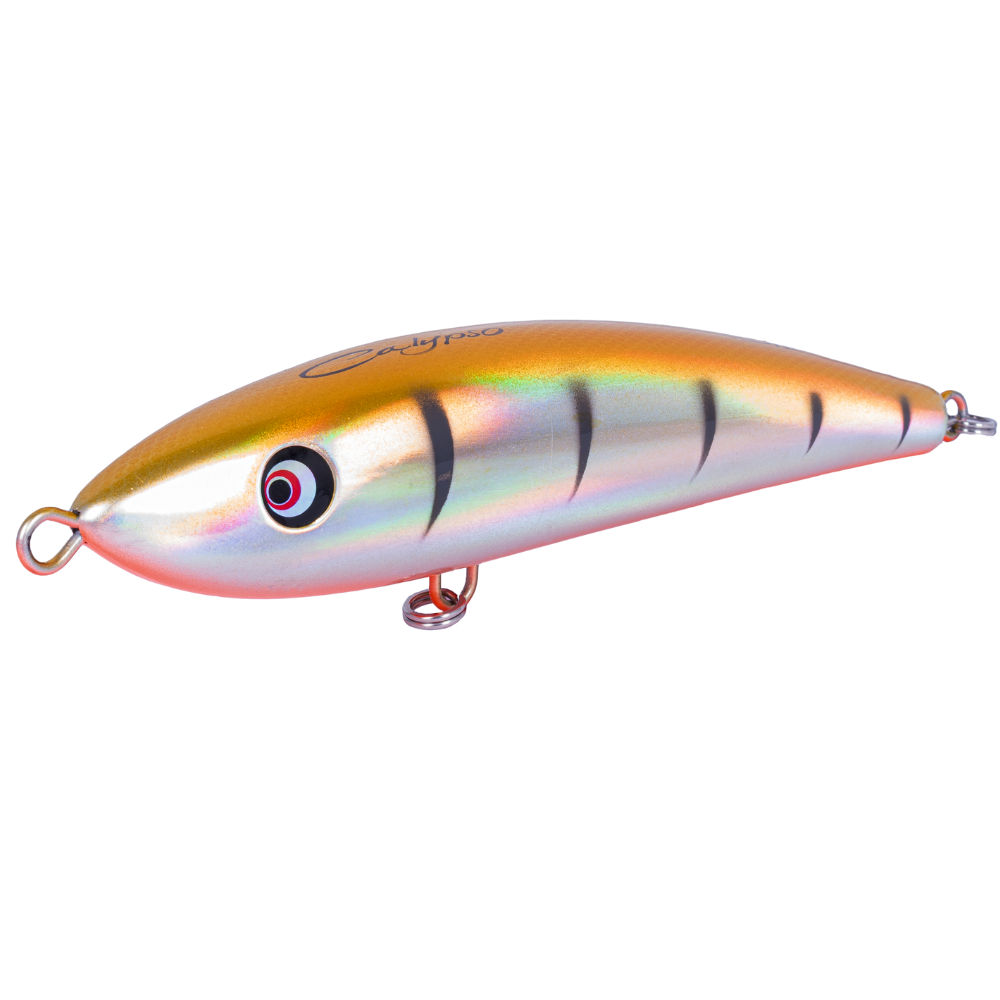 NS Black Hole Saltwater Floating Stick Bait Lure CALYPSO 75g - Image 19