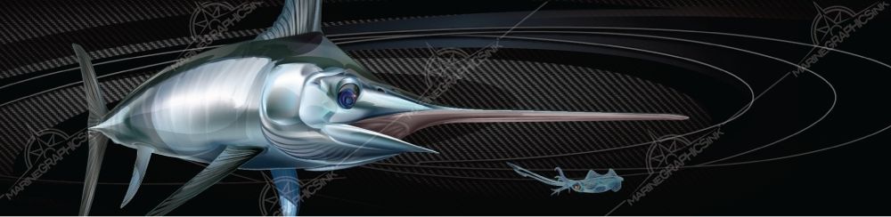 MGI Custom Marine Graphics Boat Wrap Design BROADBILL