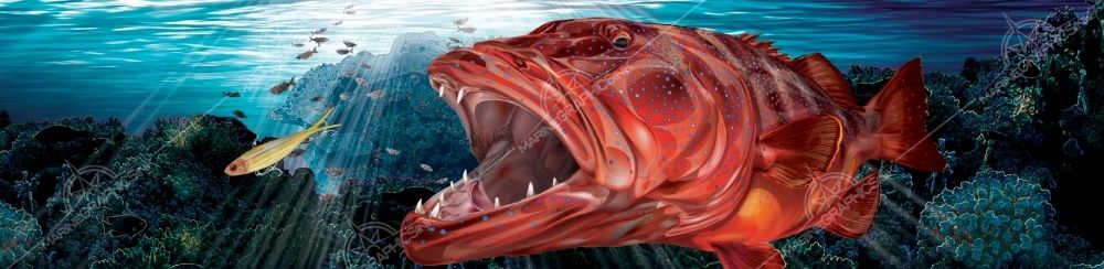 MGI Custom Marine Graphics Boat Wrap Design CORAL TROUT