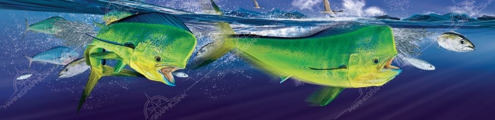 MGI Custom Marine Graphics Boat Wrap Design MAHI MAHI