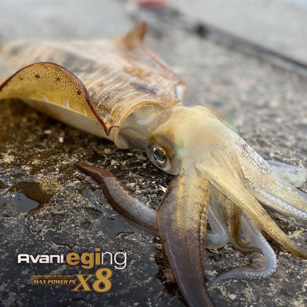 VARIVAS Super Smooth Braid Line AVANI EGING Max Power PE-X8 150m - Image 5