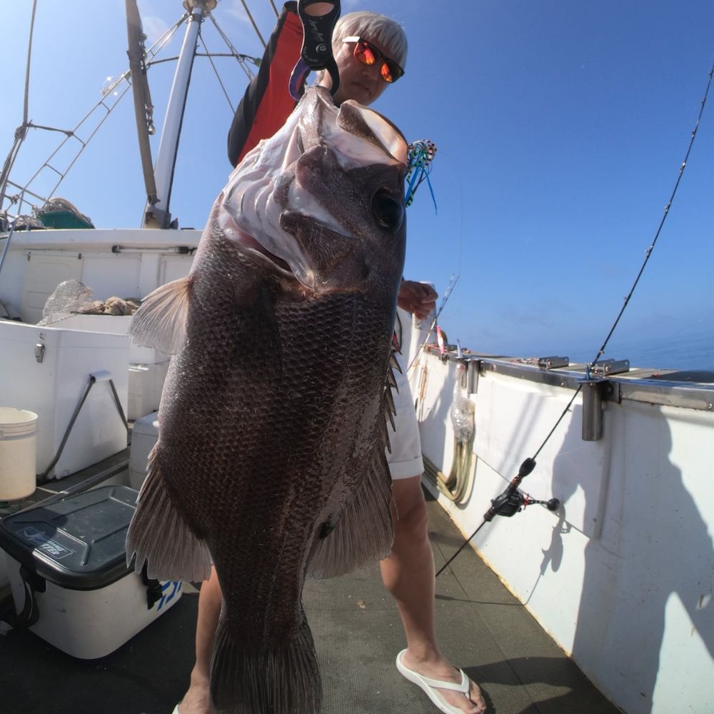 JIGGING MASTER Teaser Lure GANGSTER TANGO Flasher Skirt #L-80mm - Image 10