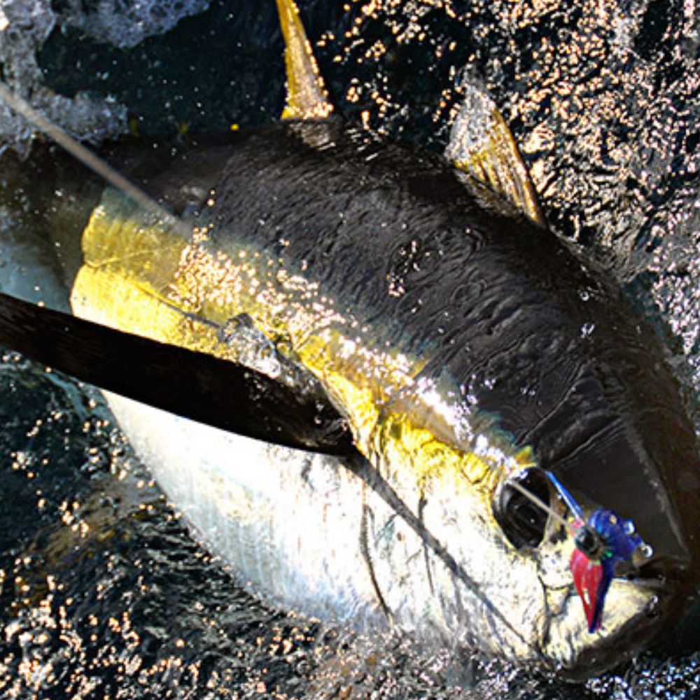WWT Saltwater Skirted-Bullet Head Trolling Lure Iland Style GOLDEN EYE 7in/18cm - Image 4