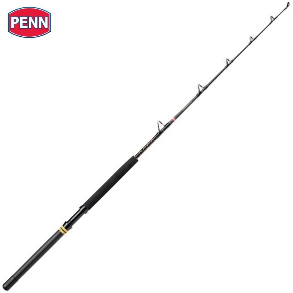 PENN Drifting And Trolling Big Game Fishing Rod SQUALL II 1.68m/30-80lb