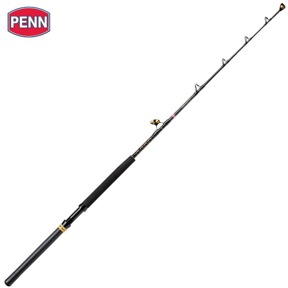 PENN Drifting And Trolling Big Game Fishing Rod SQUALL II 1.68m/60