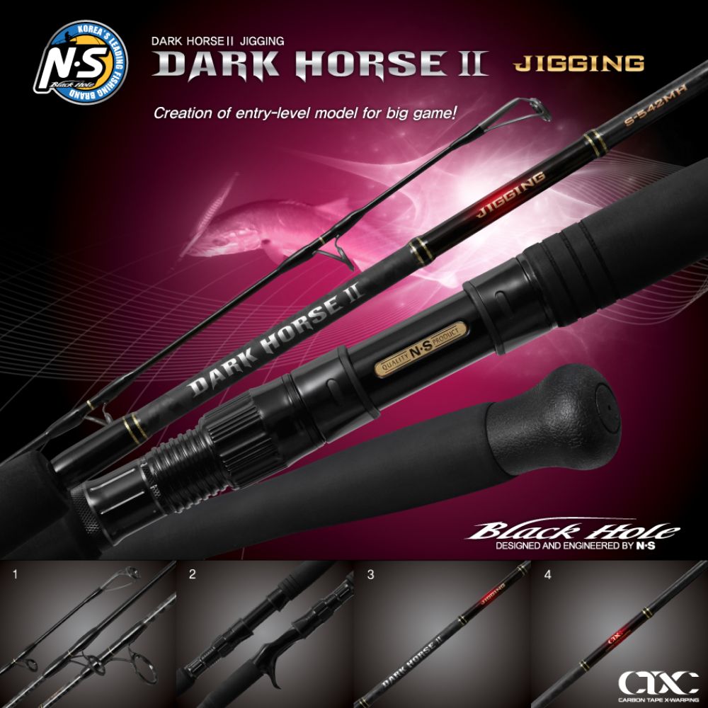 NS BLACK HOLE Saltwater Jigging Spinning Rod DARK HORSE II JIGGING S-542MH - Image 2