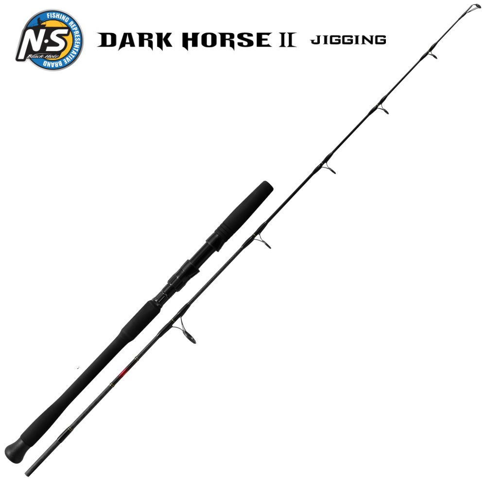 NS BLACK HOLE Saltwater Jigging Spinning Rod DARK HORSE II JIGGING S-542MH