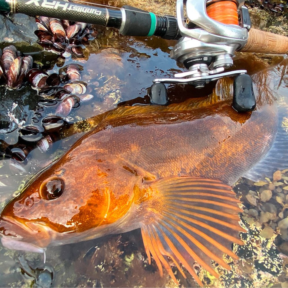 VARIVAS Premium Hi-Visibility 100% Fluorocarbon Line ROCK ON 100m - Image 3
