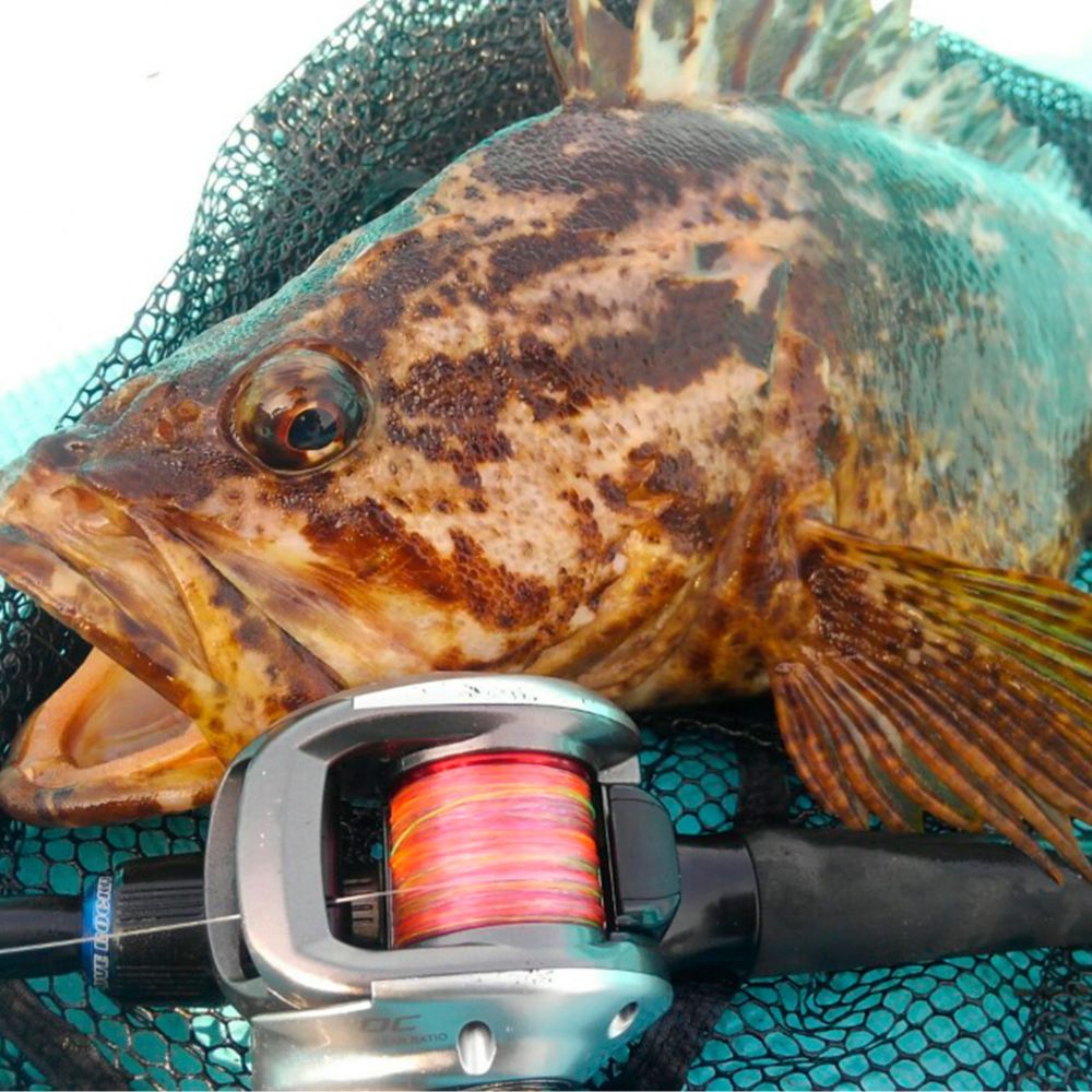 VARIVAS Premium Hi-Visibility 100% Fluorocarbon Line ROCK ON 100m - Image 4