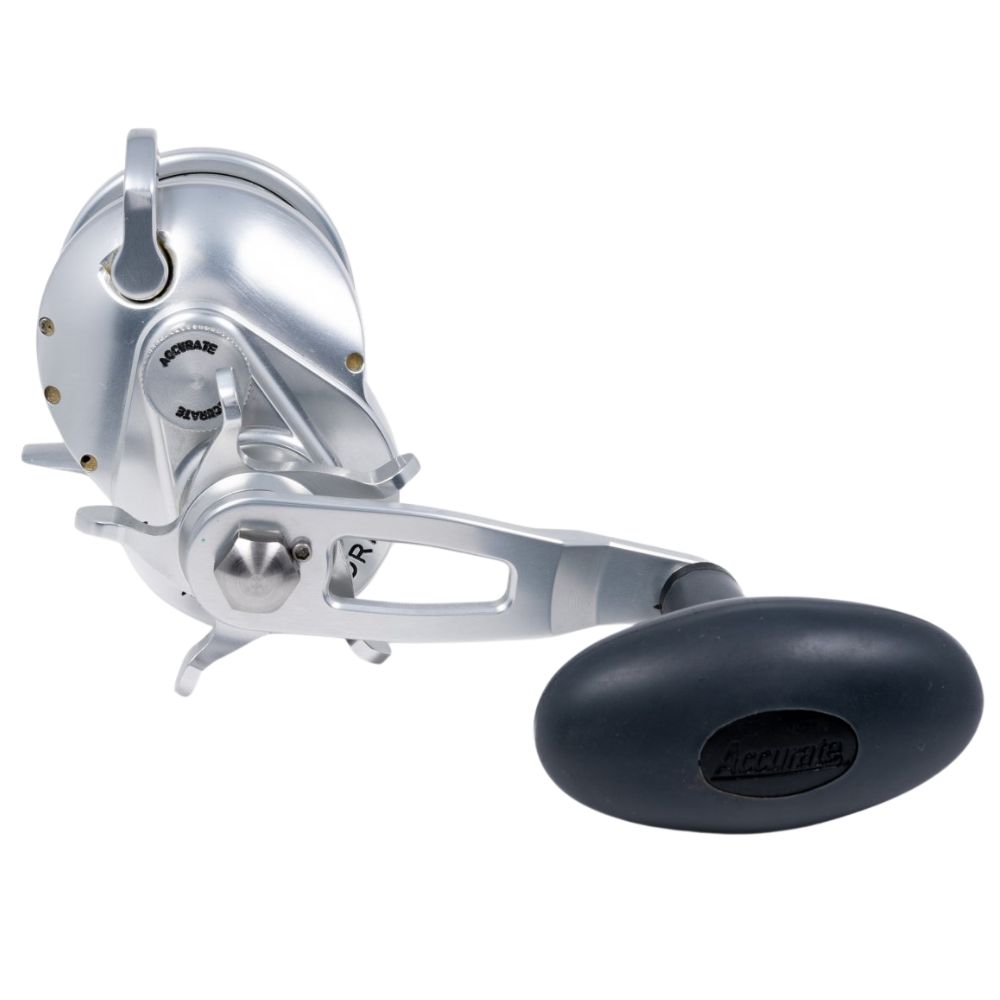 ACCURATE Saltwater Fishing Conventional Star Drag Reel TERN 2 - Image 4