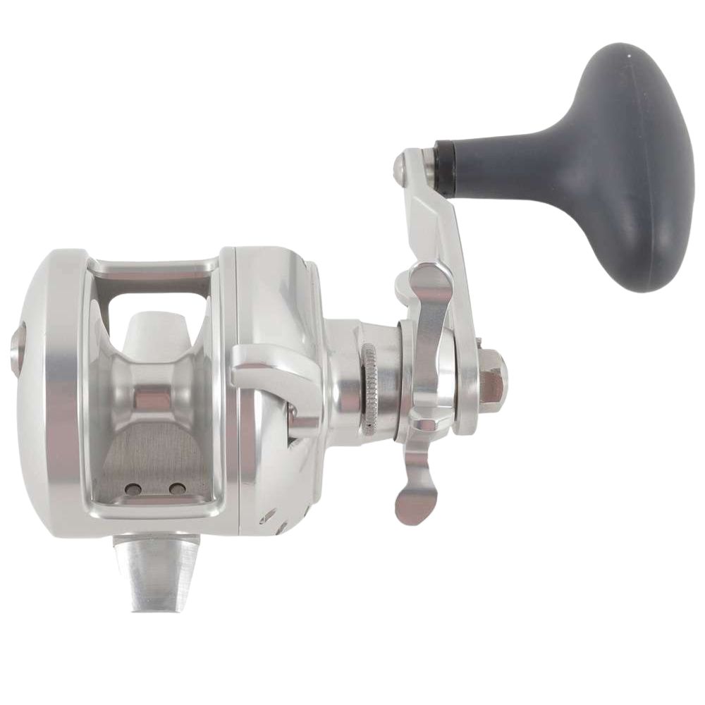 ACCURATE Saltwater Fishing Conventional Star Drag Reel TERN 2 - Image 5