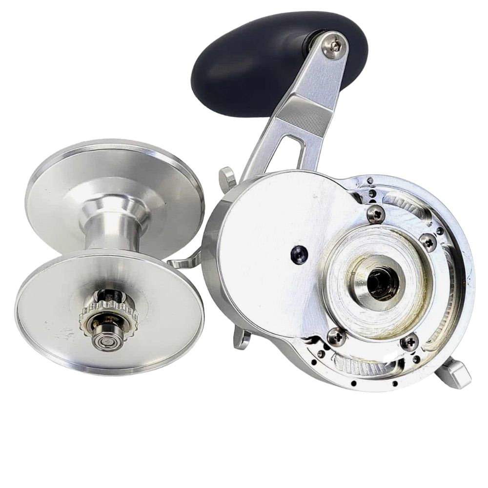 ACCURATE Saltwater Fishing Conventional Star Drag Reel TERN 2 - Image 8