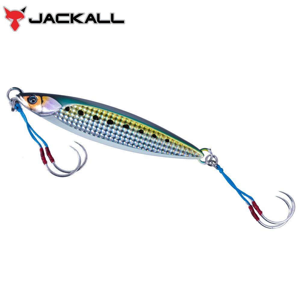 JACKALL Saltwater Jigging Lure BAMBLUZ Jig SLOW 150g #G436