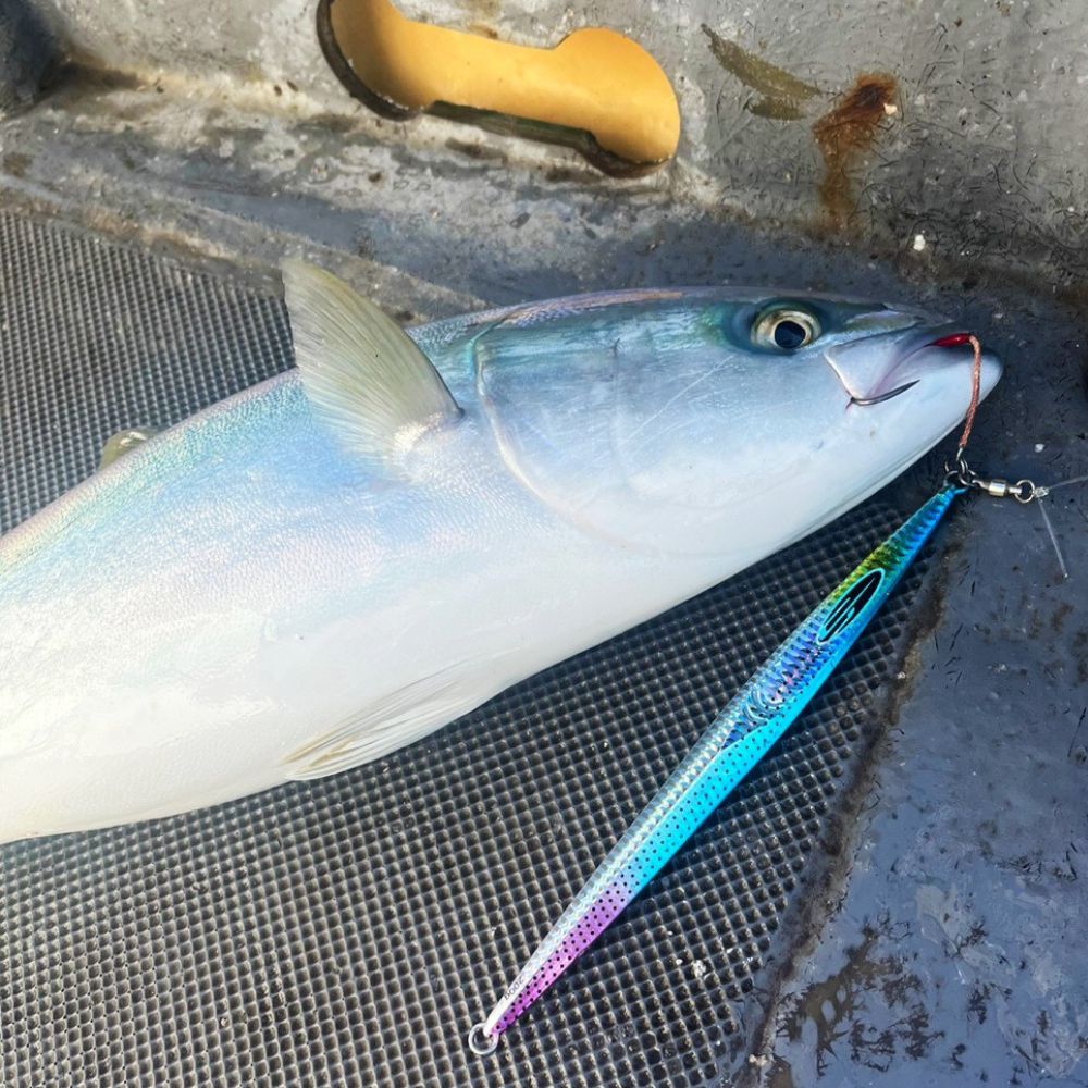 NS BLACK HOLE Offshore Jigging Lure BOCA LONG JIG 200g - Image 9
