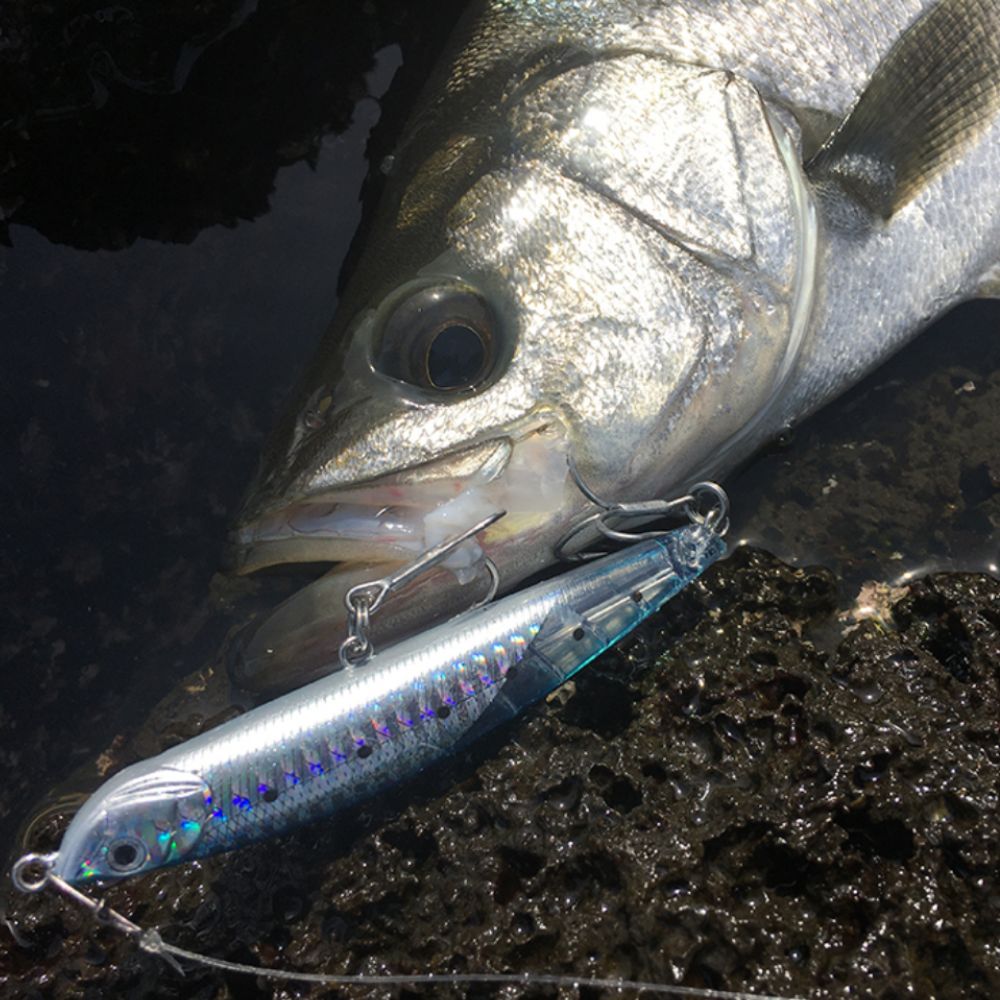 NS BLACK HOLE Saltwater Fishing Sinking Pencil Lure CALYPSO JIG MINNOW 100SS - Image 13