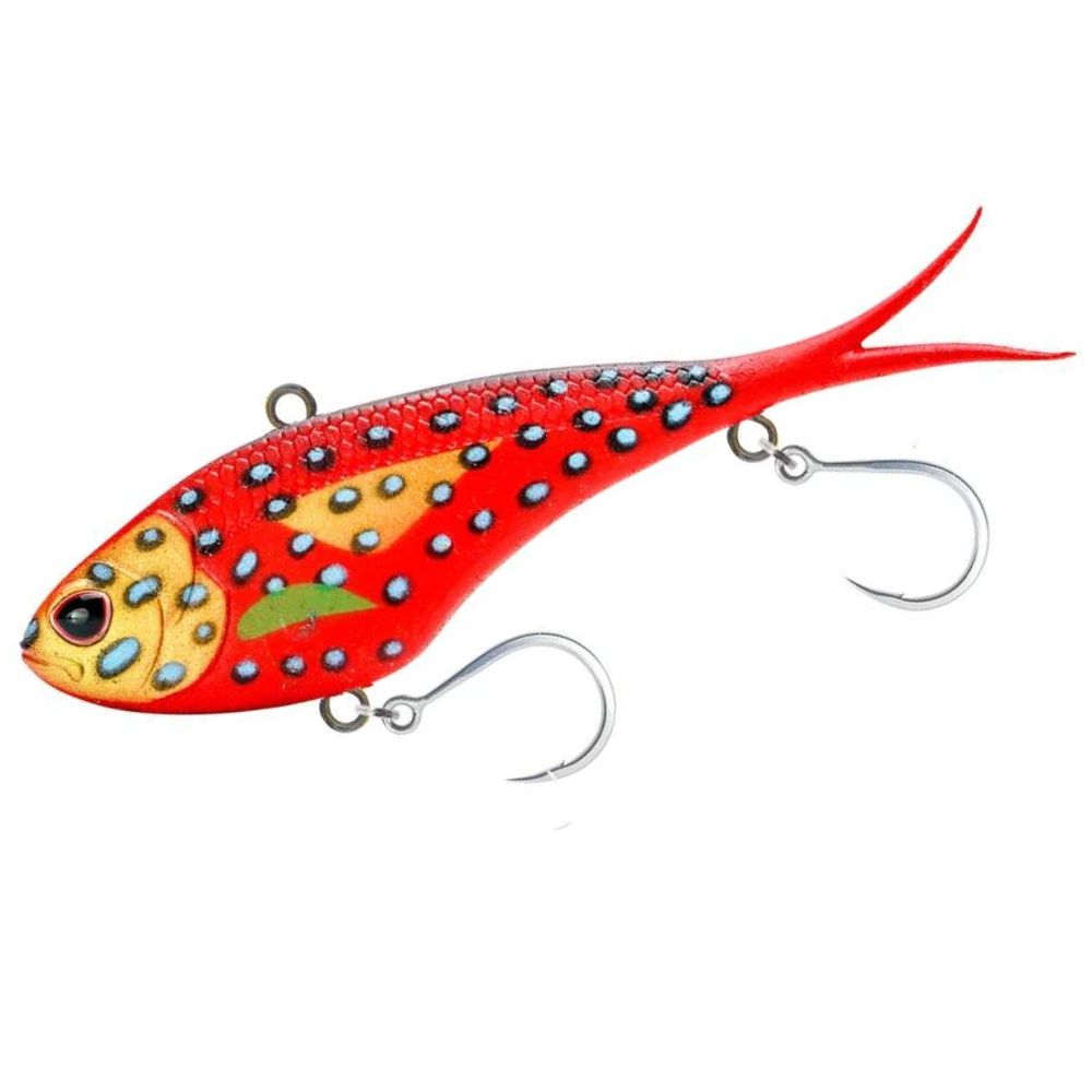 Coral Trout