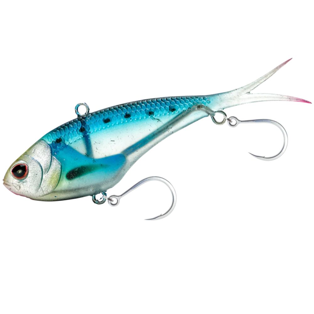 Sardine