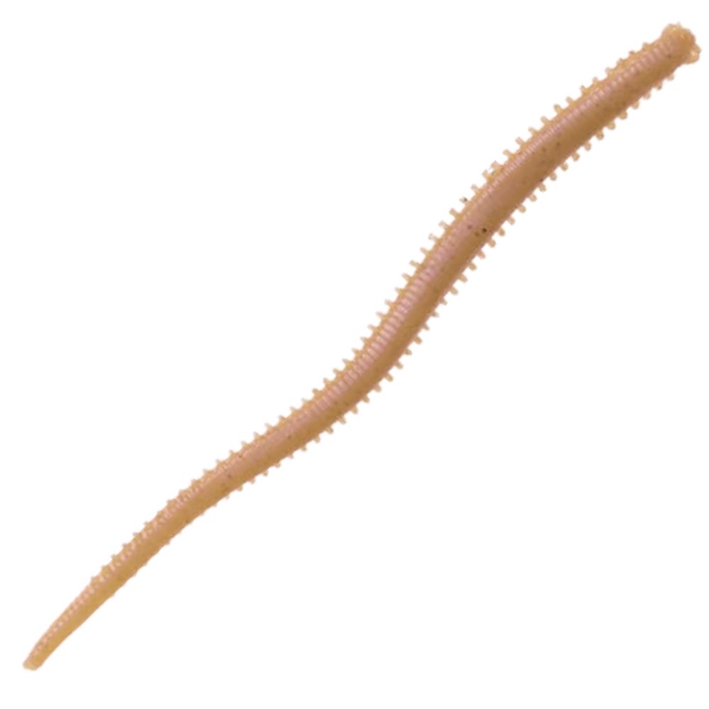 BERKLEY Gulp Scented Soft Bait Worm Lure SW ISOME FUTOMI 4in/12pcs Natural - Image 2