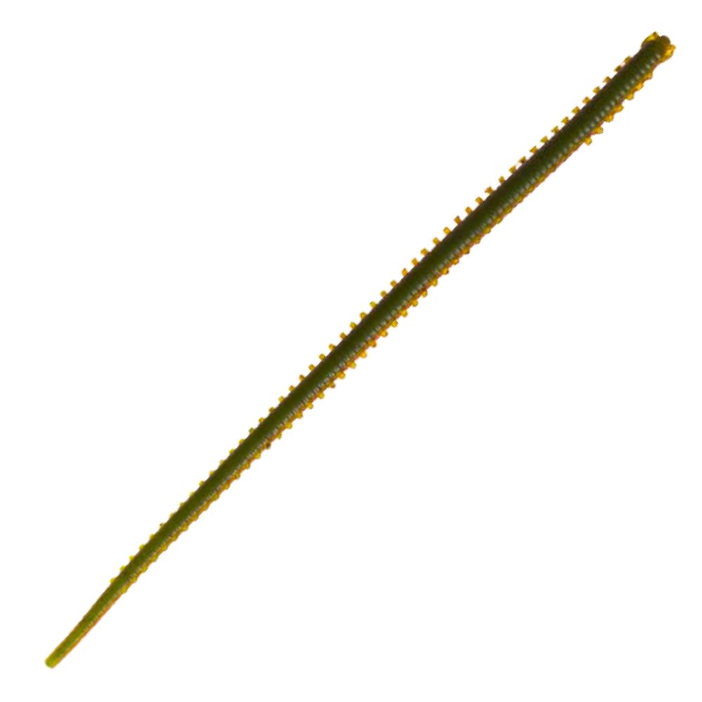 BERKLEY Gulp Scented Soft Bait Worm Lure SW ISOME HOSOMI 4in/12pcs Natural Sandworm - Image 2