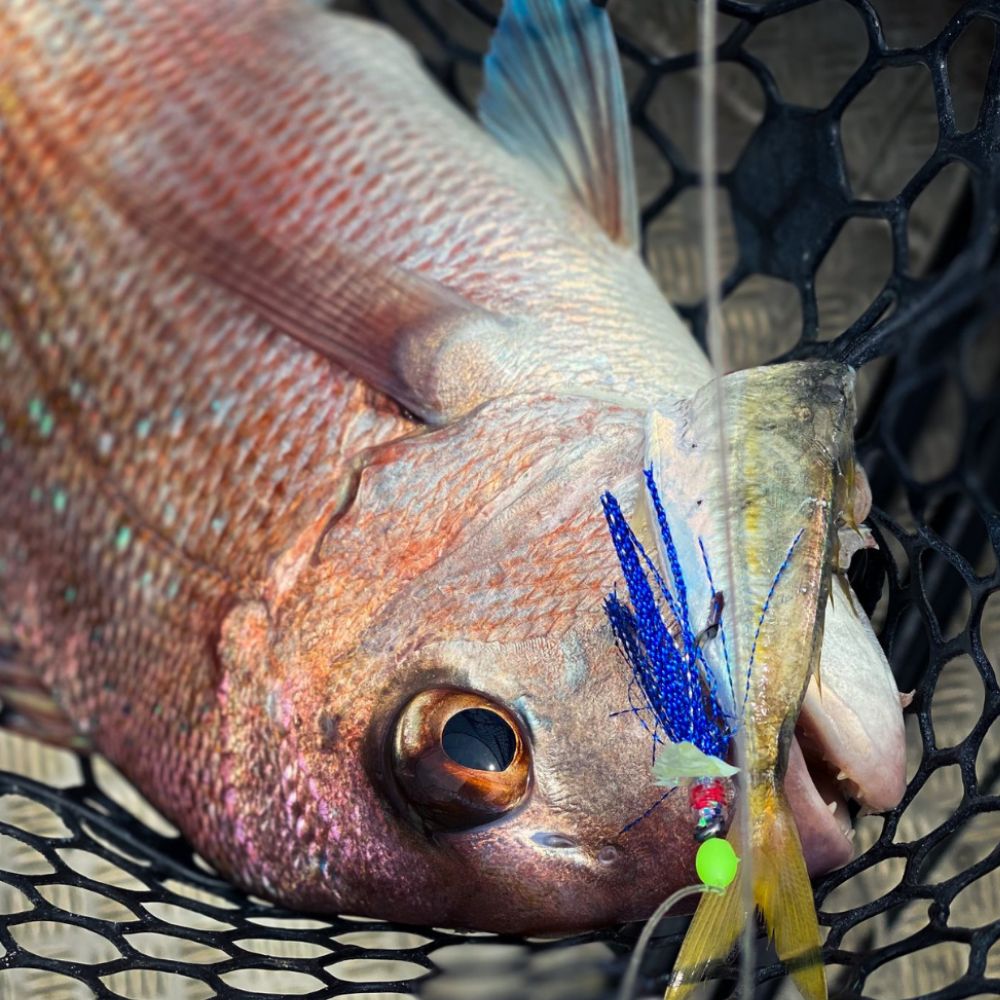 BKK Saltwater Bottom Fishing Rig HYPER FLASHER A2 Yellow Tang 3/0 - Image 5