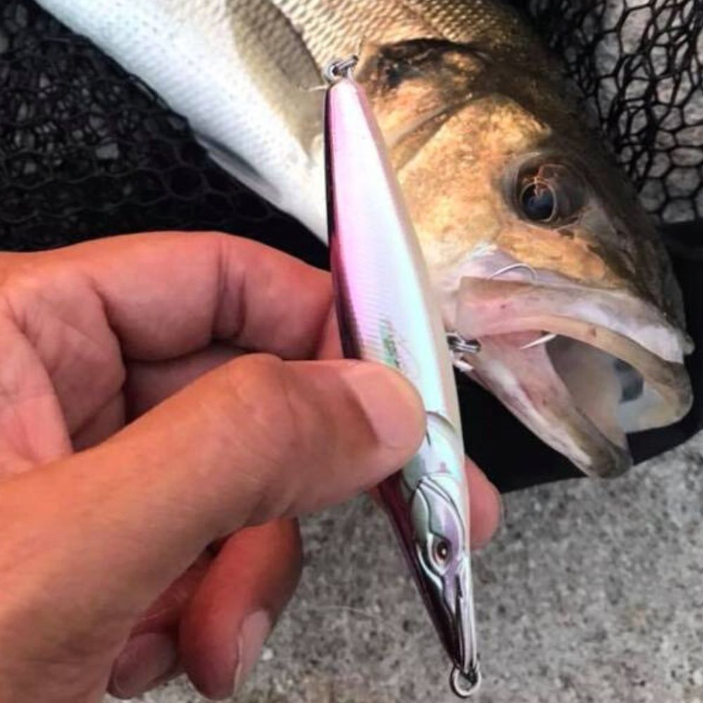 XORUS Topwater Fishing WTD Floating Pencil Lure ASTURIE 110 - Image 11