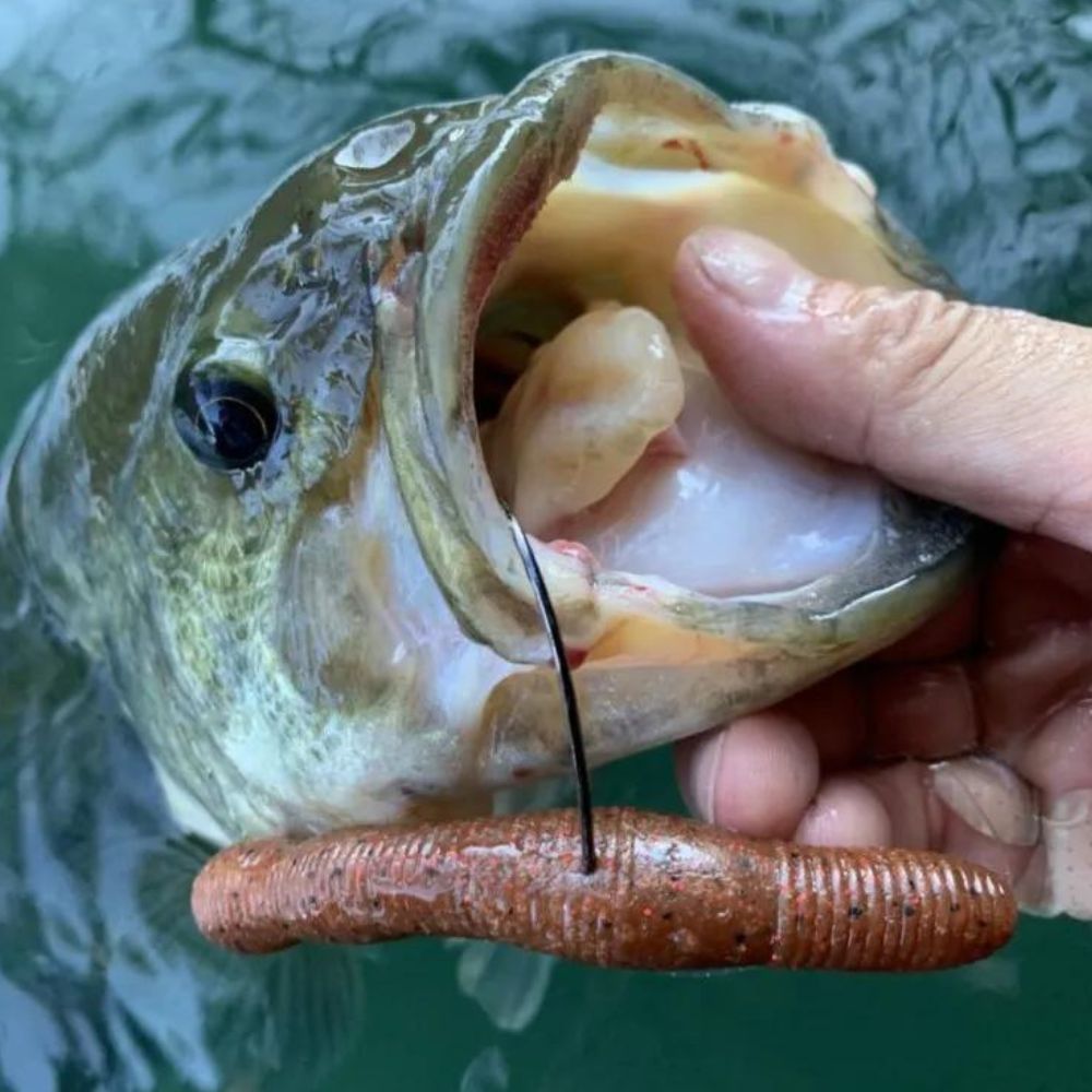 DUO Realis Bass Fishing Scented Soft Bait Worm Lure WRIGGLE STICK 3.0 - Image 15