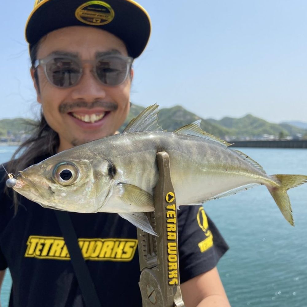 DUO Ultra Light Fishing Jig Head Tetra Works PEAS HEAD - Image 7