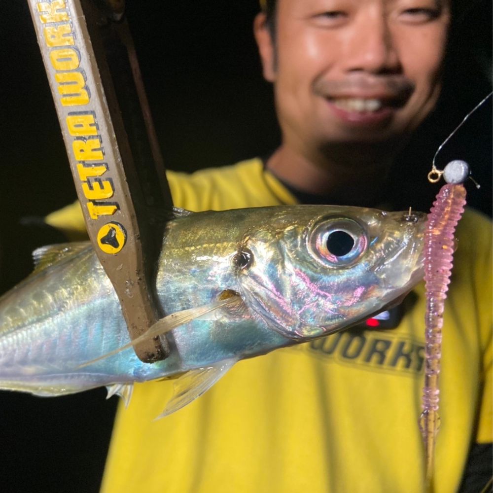DUO Ultra Light Fishing Scented Soft Bait Lure Tetra Works PIPIN - Image 14
