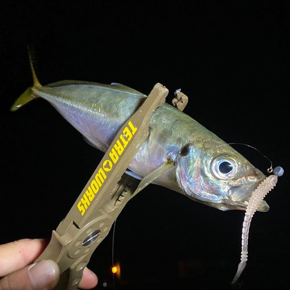 DUO Ultra Light Fishing Scented Soft Bait Lure Tetra Works PIPIN - Image 13