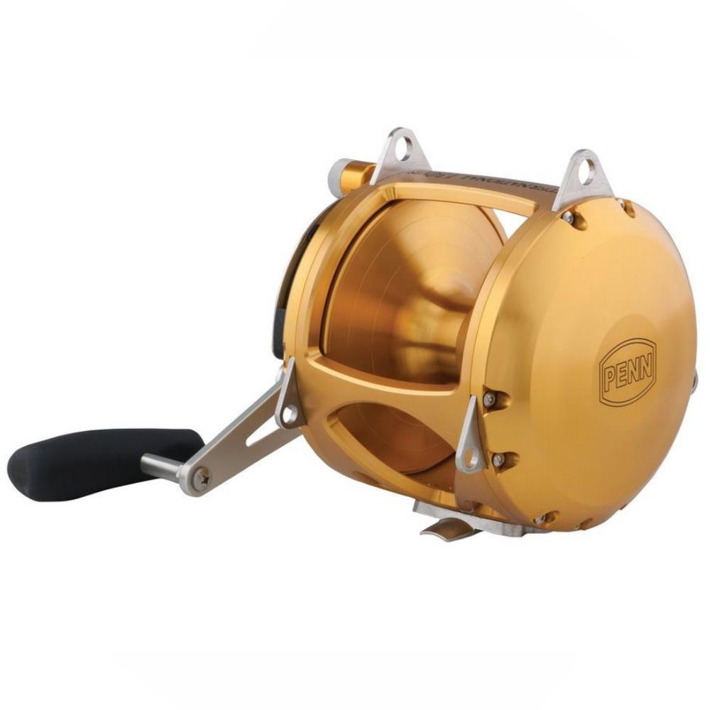 PENN Saltwater Conventional 2 Speed Reel International VI 130VISS Gold - Image 3