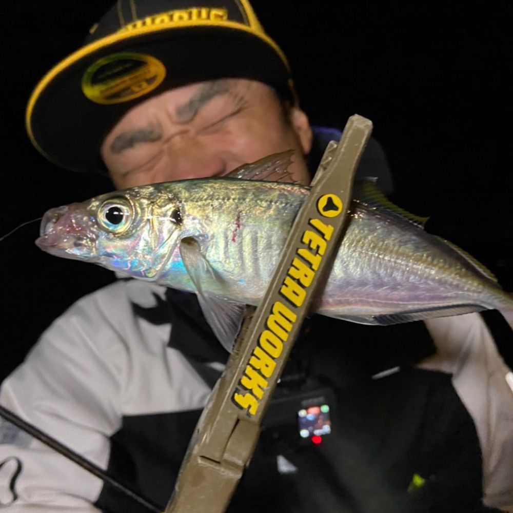 DUO Ultra Light Fishing Scented Soft Bait Lure Tetra Works UBER - Image 15