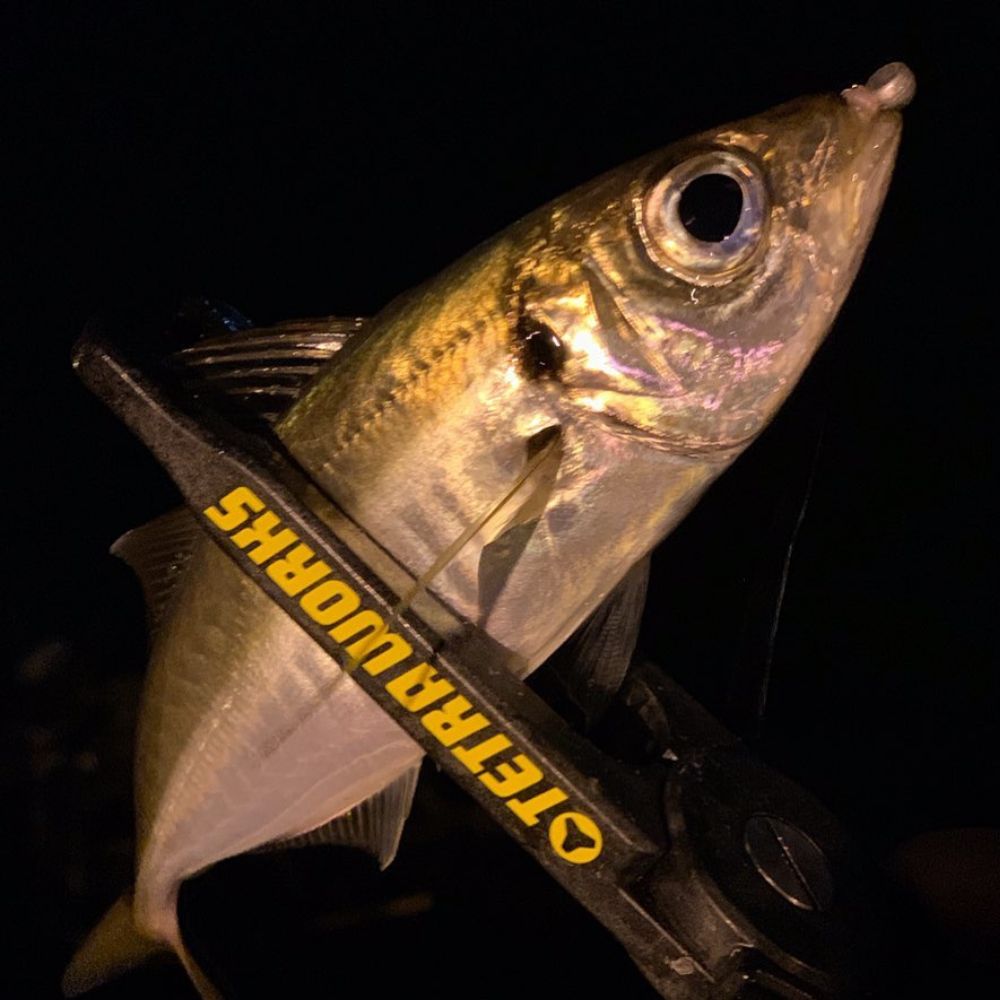DUO Ultra Light Fishing Scented Soft Bait Lure Tetra Works UBER - Image 16