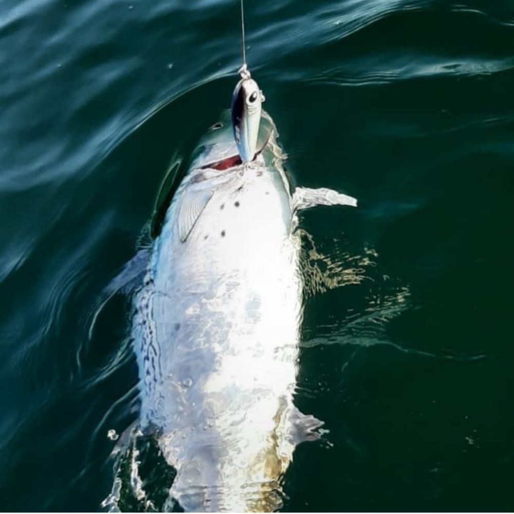 GLIDE TACKLE Offshore Casting Floating Stickbait Lure F14 14cm/50g - Image 10