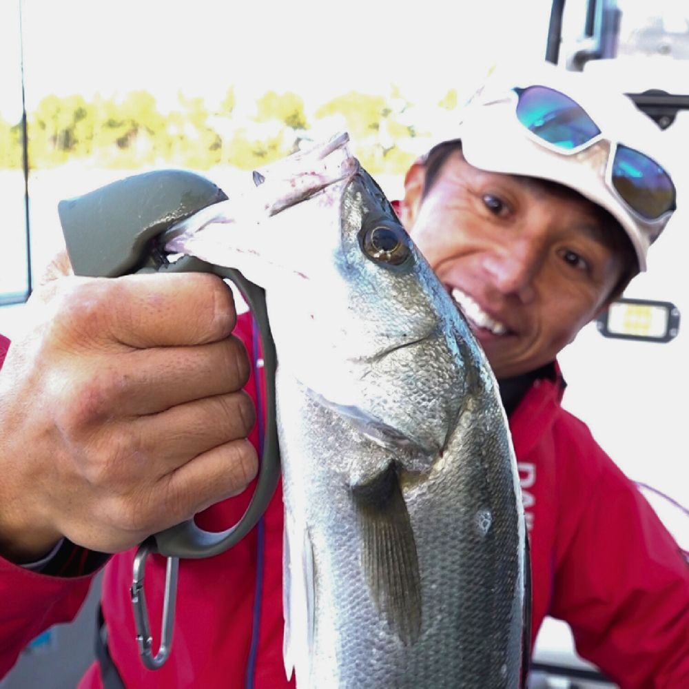 DAIICHISEIKO Fish Jaw Grip MC - Image 10